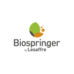 LESAFFRE-Biospringer LESAFFRE-Biospringer, Ingrédients, Stratégie, Optimisation, Schéma Directeur, Plan transformation